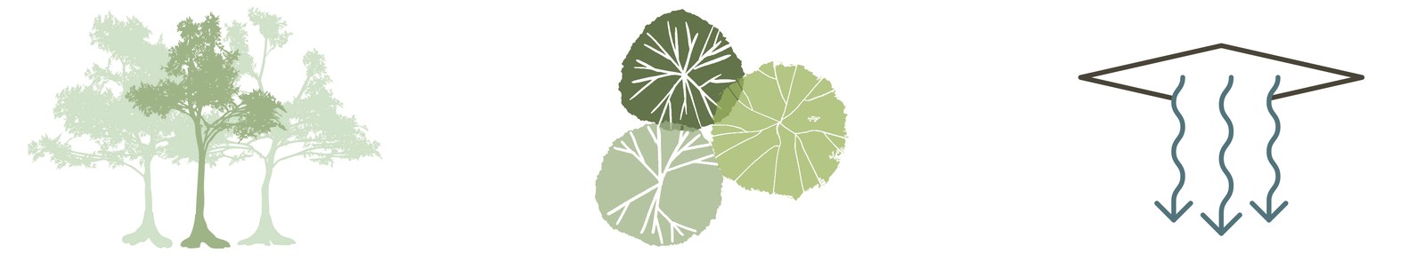 Ecosystem Diagram