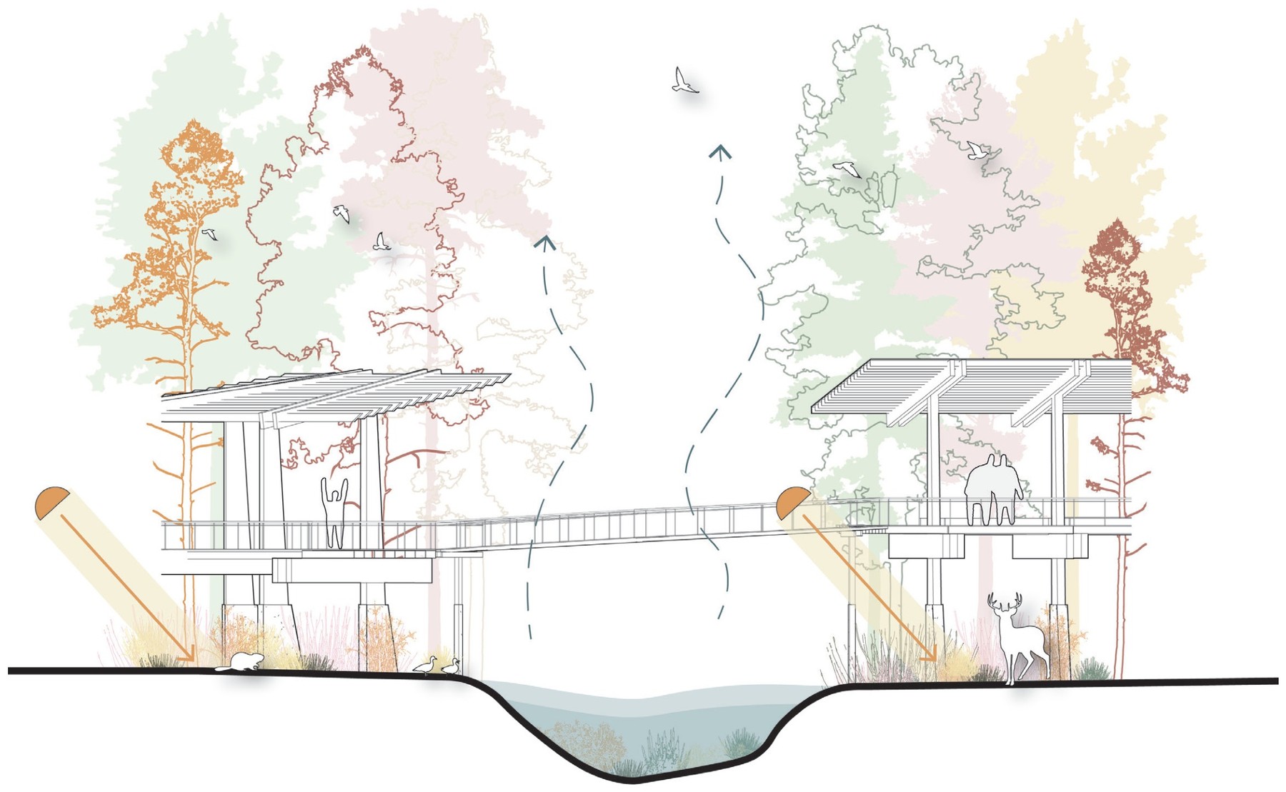 Site Ecology Diagram