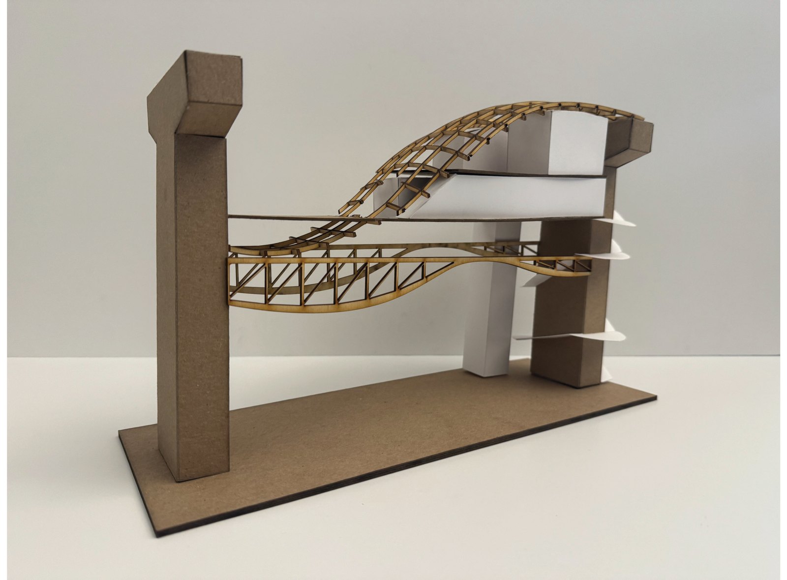 Study model, three quarter view